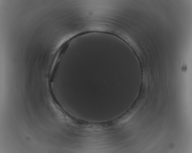 X0000092290434200709281309