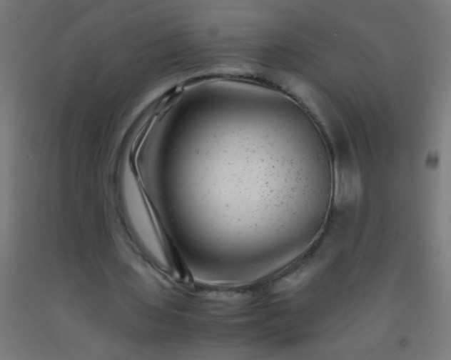 X0000092290435200709281309