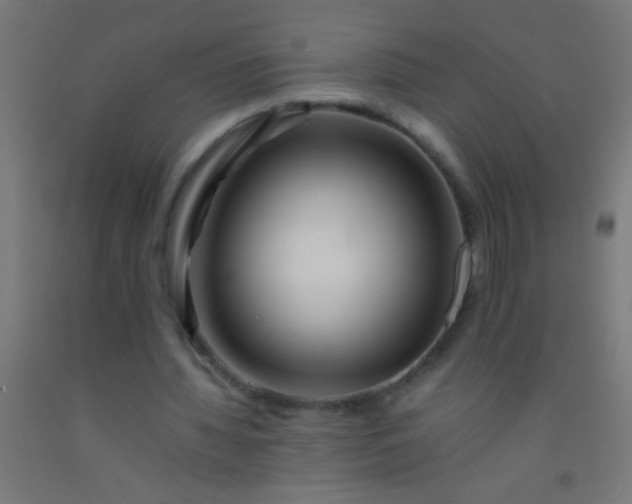 X0000092290436200709281309