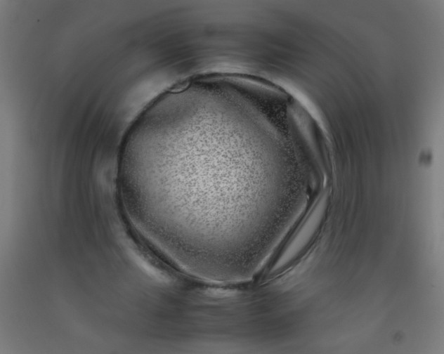 X0000092290437200709281309