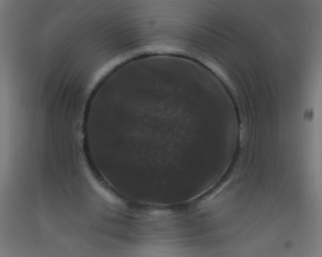 X0000092290438200709281309