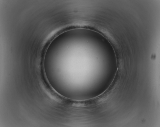 X0000092290440200709281309