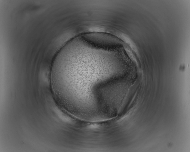 X0000092290441200709281309