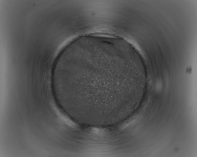 X0000092290442200709281309