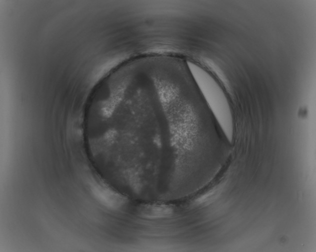 X0000092290443200709281309