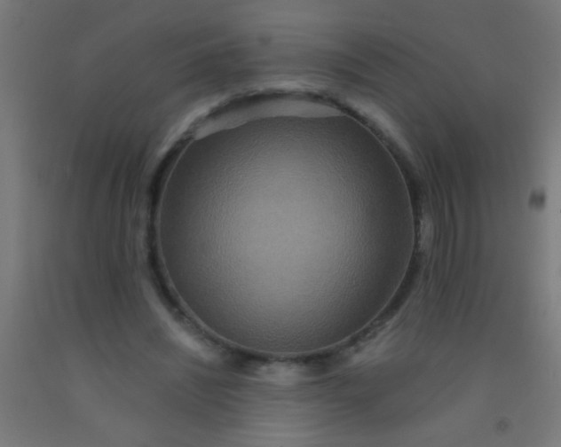 X0000092290444200709281309