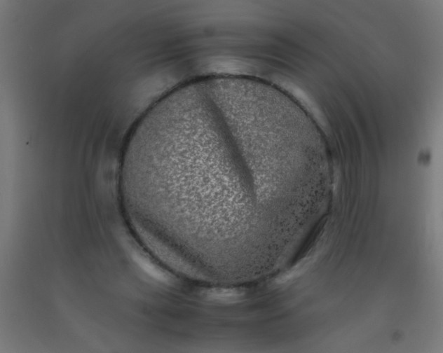 X0000092290445200709281309