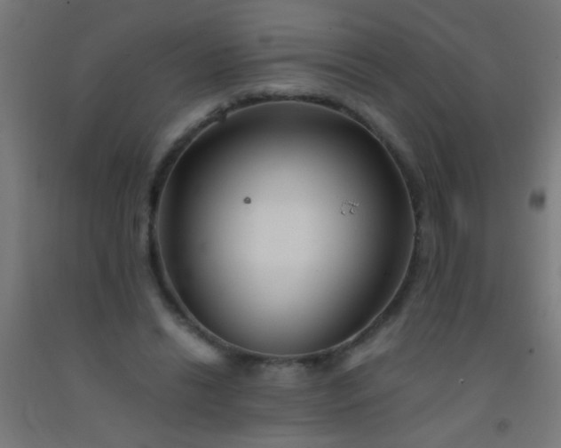 X0000092290446200709281309