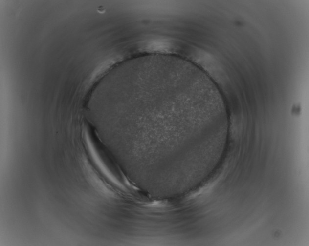 X0000092290449200709281309