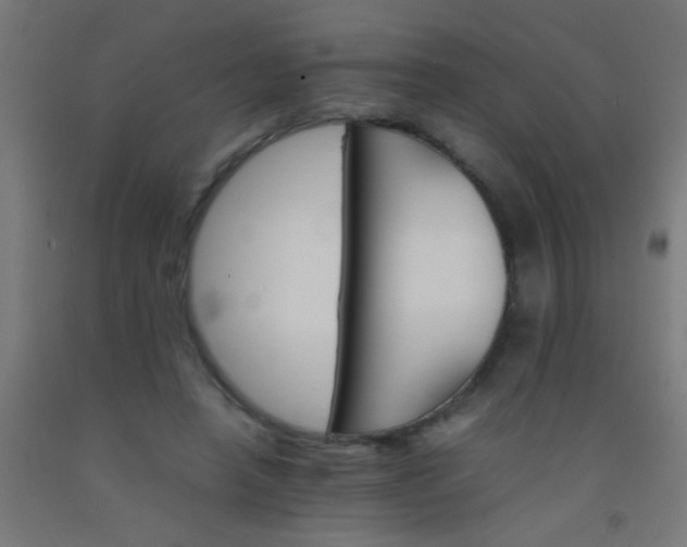 X0000092290450200709281309