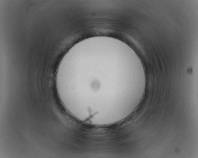 X0000092290451200709281309