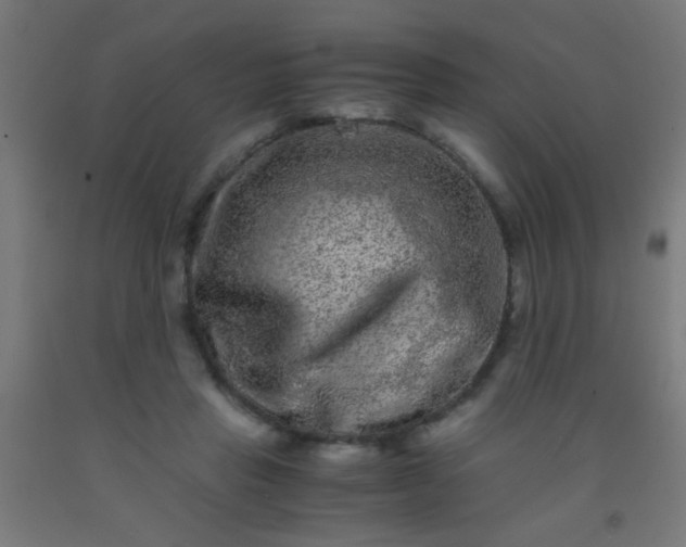 X0000092290453200709281309