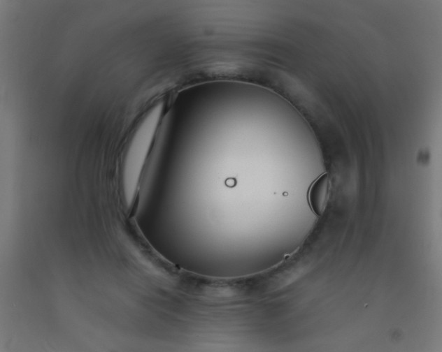 X0000092290454200709281309