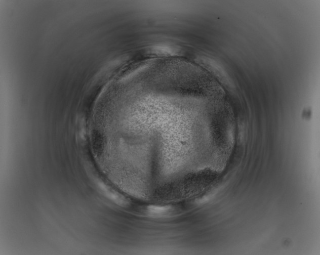 X0000092290457200709281309