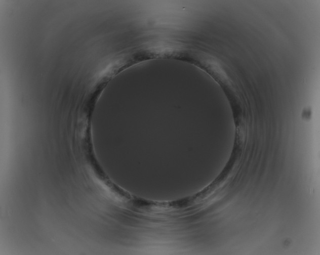 X0000092290458200709281309