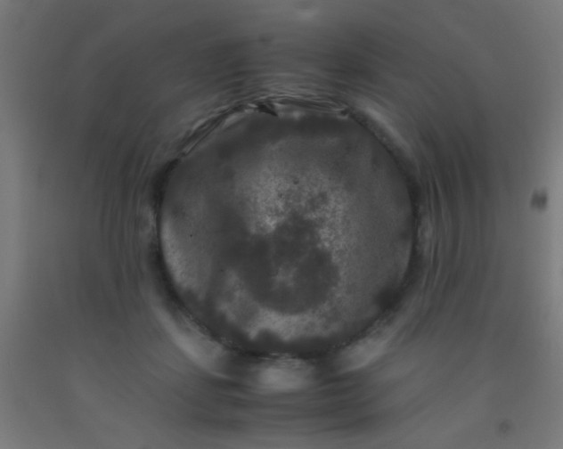 X0000092290459200709281309