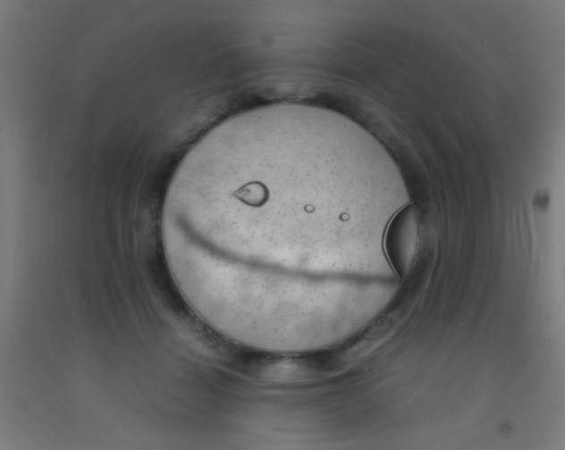 X0000092290460200709281309