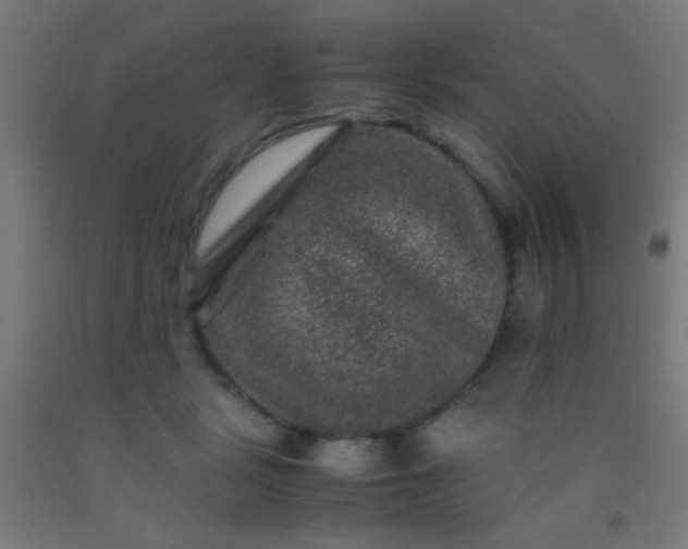 X0000092290461200709281309