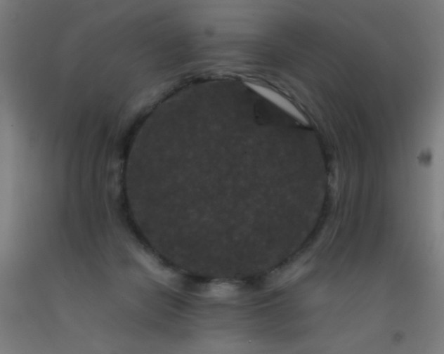 X0000092290462200709281309