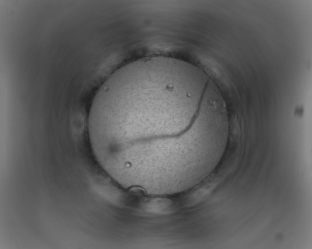 X0000092290463200709281309