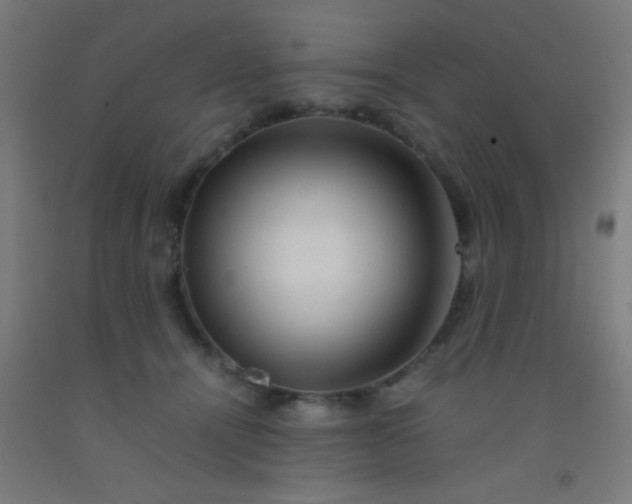 X0000092290464200709281309