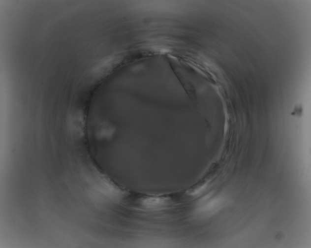 X0000092290465200709281309