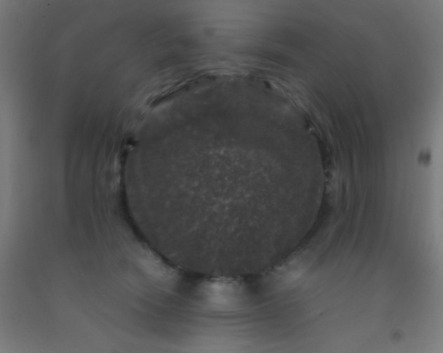 X0000092290466200709281309