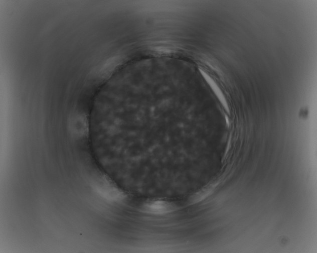 X0000092290467200709281309