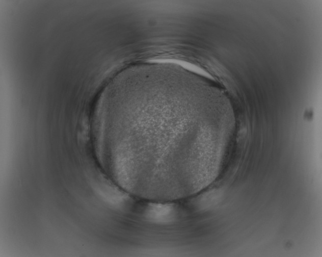 X0000092290469200709281309