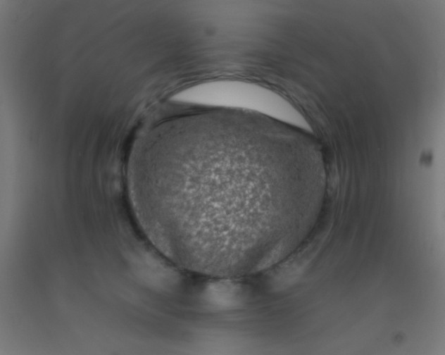 X0000092290470200709281309