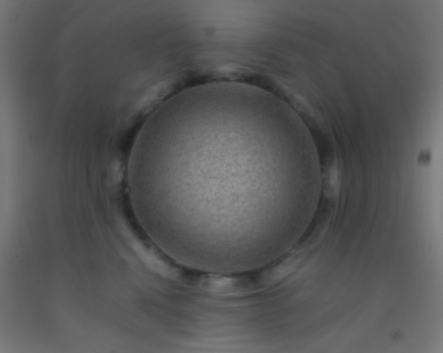 X0000092290472200709281309