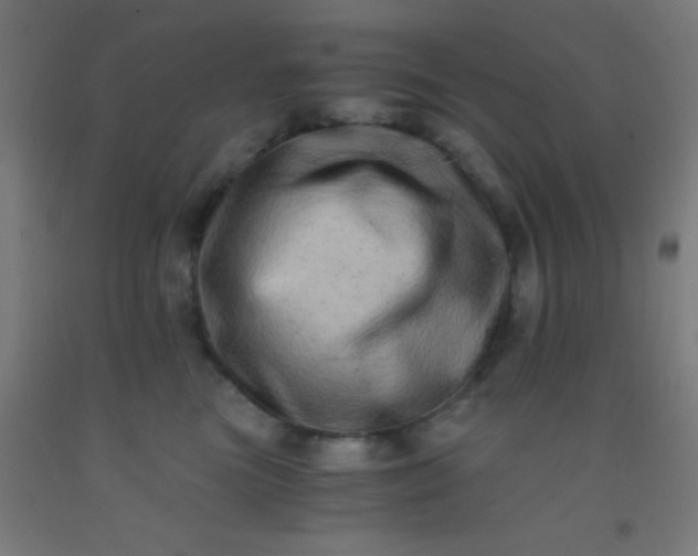 X0000092290473200709281309