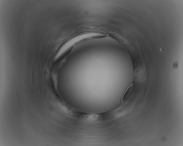 X0000092290474200709281309