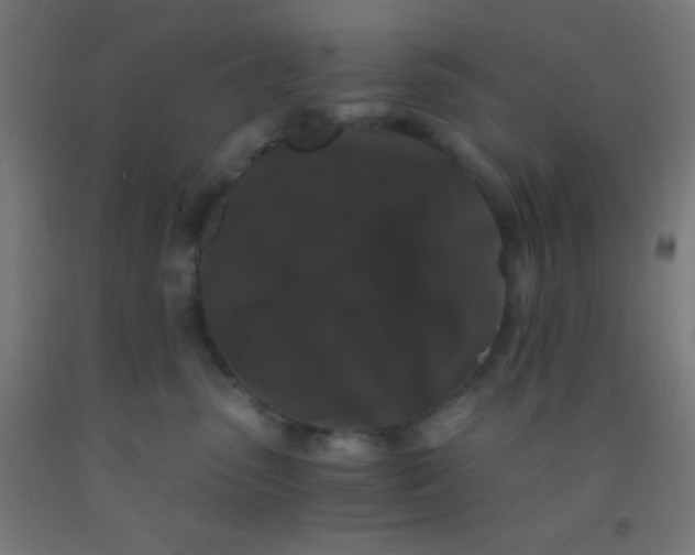 X0000092290475200709281309