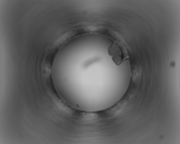 X0000092290476200709281309