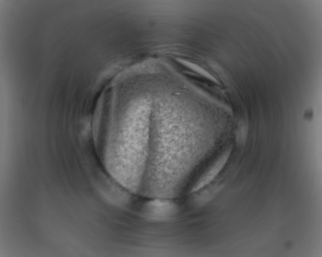 X0000092290477200709281309