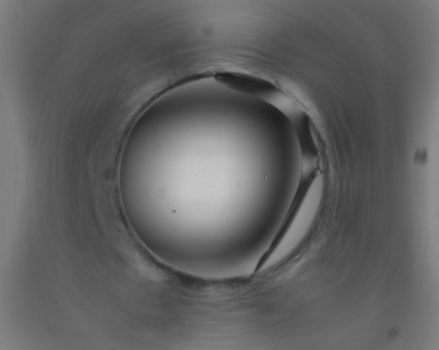 X0000092290481200709281309