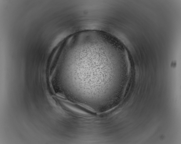 X0000092290482200709281309