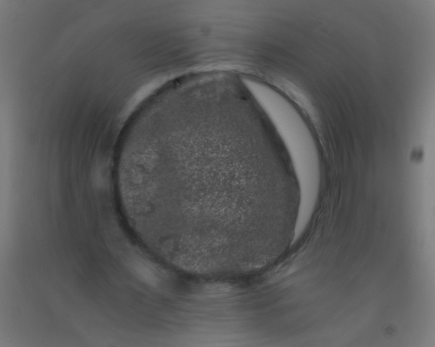 X0000092290483200709281309