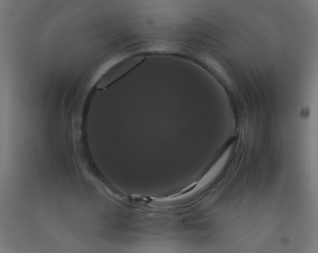 X0000092290484200709281309