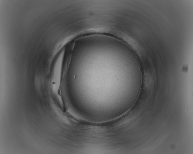 X0000092290486200709281309