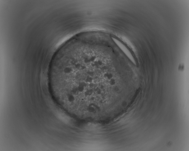 X0000092290487200709281309