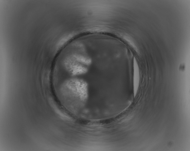 X0000092290491200709281309