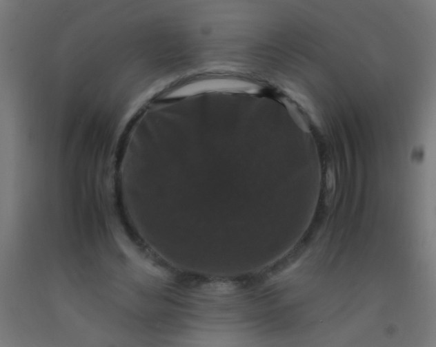 X0000092290492200709281309