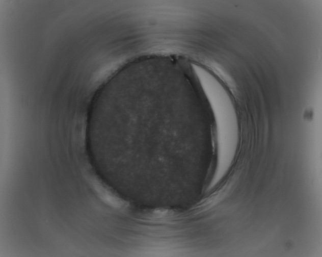 X0000092290493200709281309