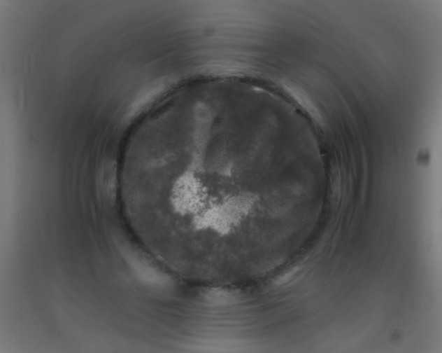 X0000092290494200709281309