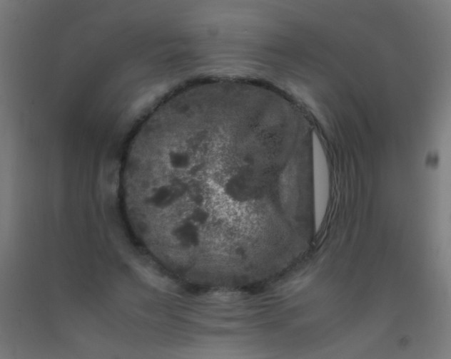 X0000092290495200709281309