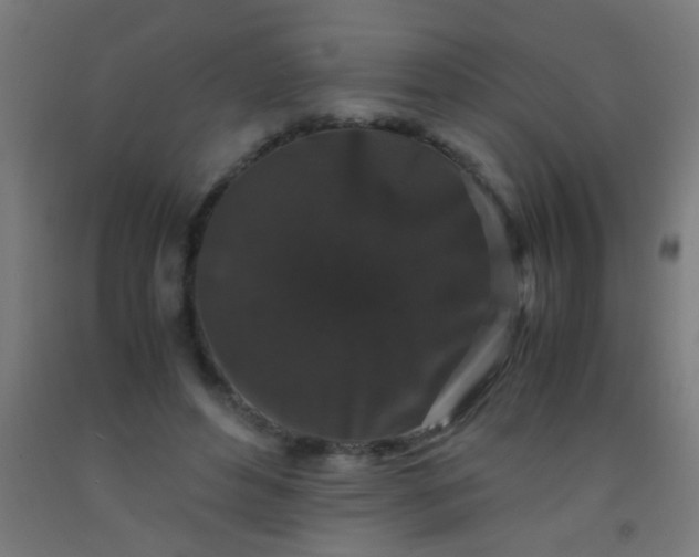 X0000092290496200709281309