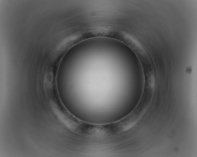 X0000092290498200709281309