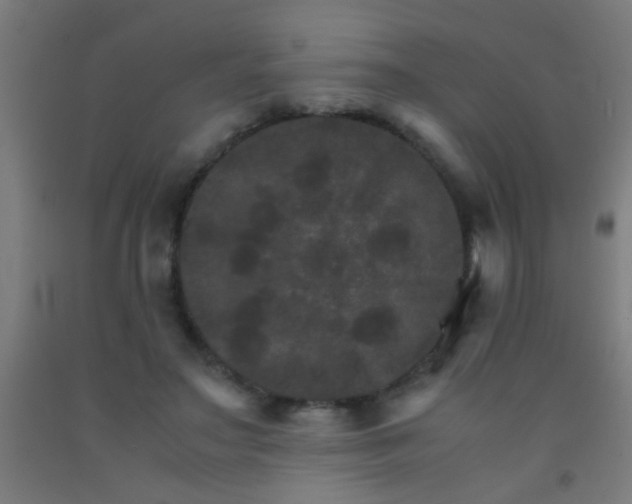 X0000092290499200709281309